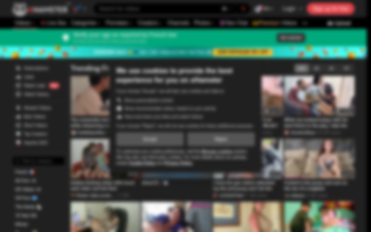 Capture d'écran de xHamster
